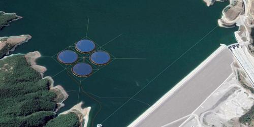 Floating solar plant